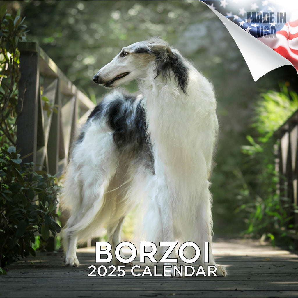 Borzoi Wall Calendar 2025
