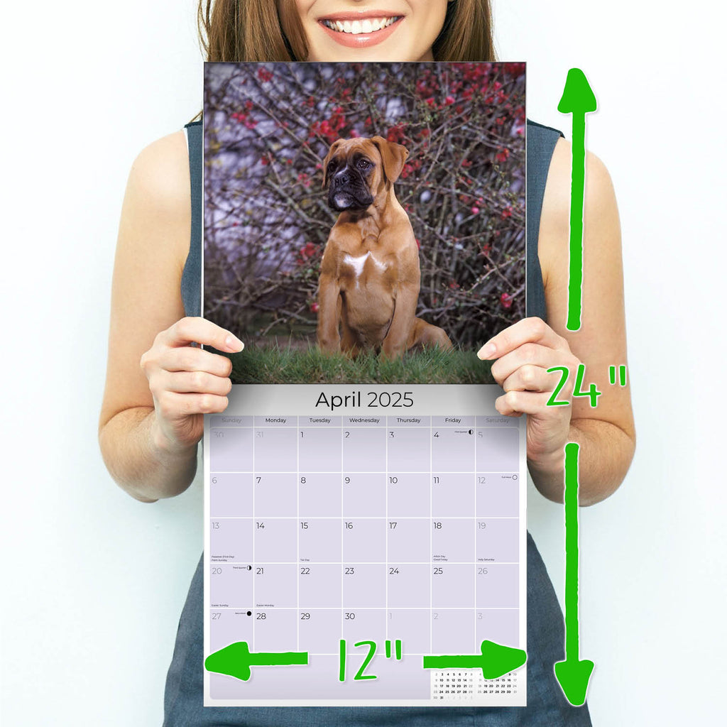 Boxer Puppies Wall Calendar 2025