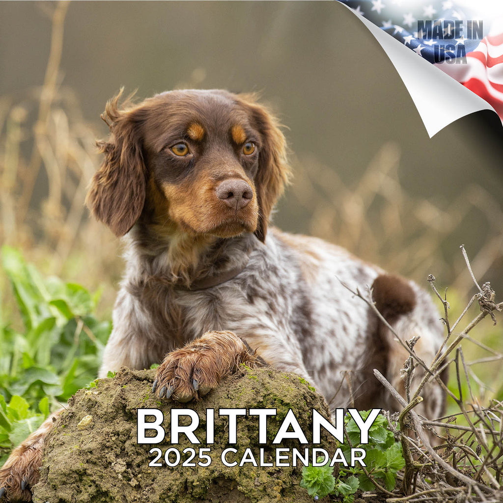 Brittany Wall Calendar 2025