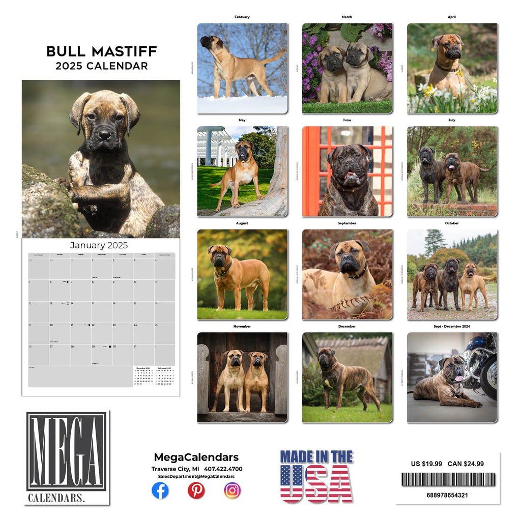 Bull Mastiff Calendar 2025