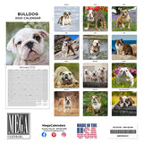 Bulldog Wall Calendar 2025