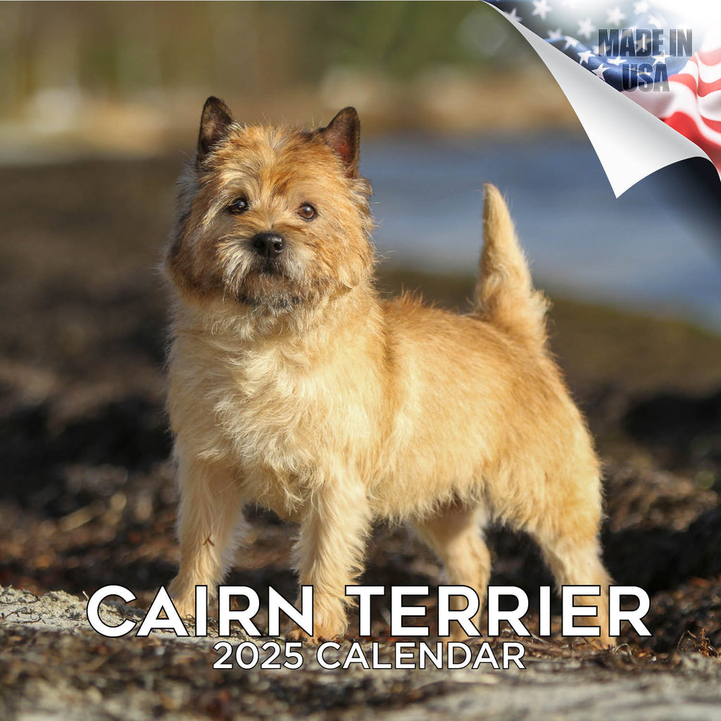 Cairn Terrier Wall Calendar 2025