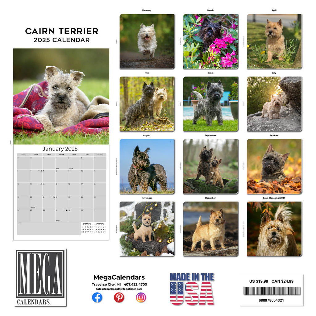 Cairn Terrier Wall Calendar 2025