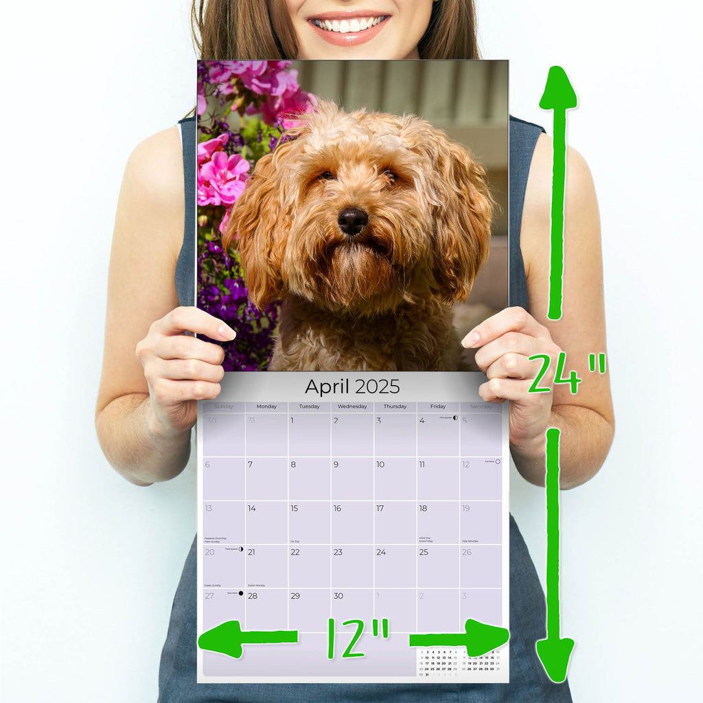 Cavapoo Calendar 2025