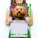 Cavapoo Calendar 2025