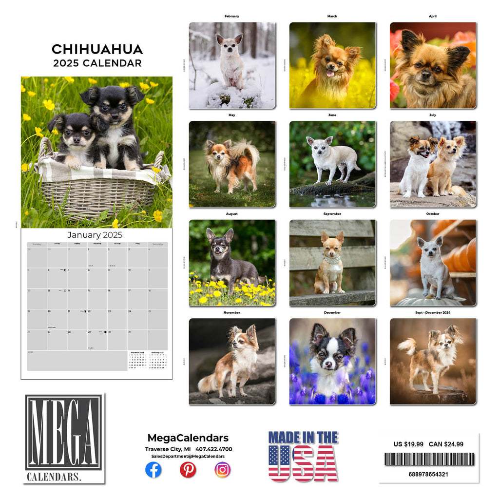 Chihuahua Wall Calendar 2025