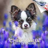 Chihuahua Wall Calendar 2025