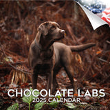Chocolate Lab Retriever Wall Calendar 2025