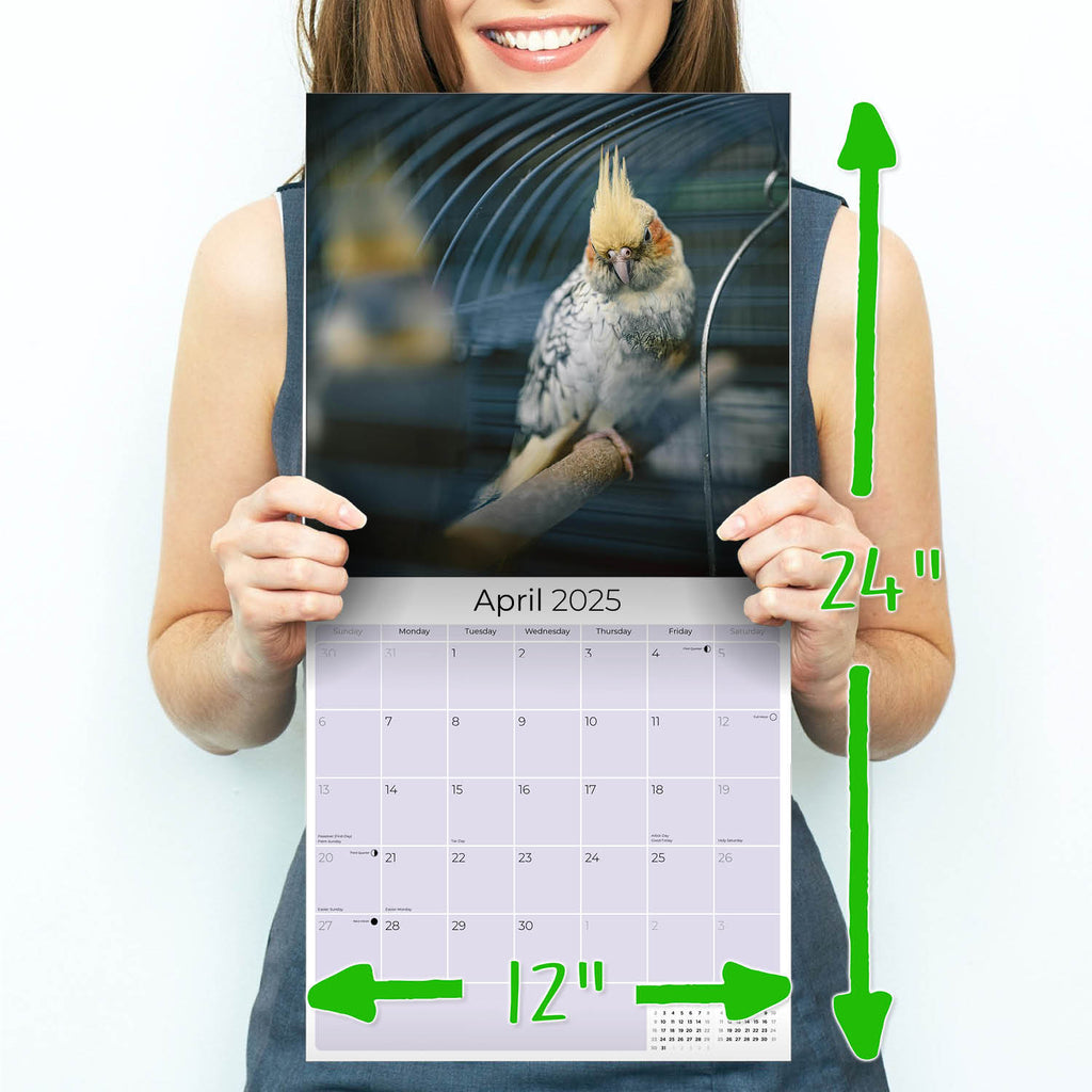 Cockatiels Wall Calendar 2025