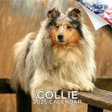 Collie Wall Calendar 2025