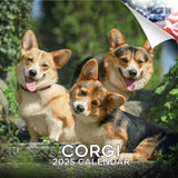 Corgi Wall Calendar 2025