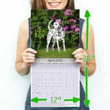 Dalmatian Wall Calendar 2025