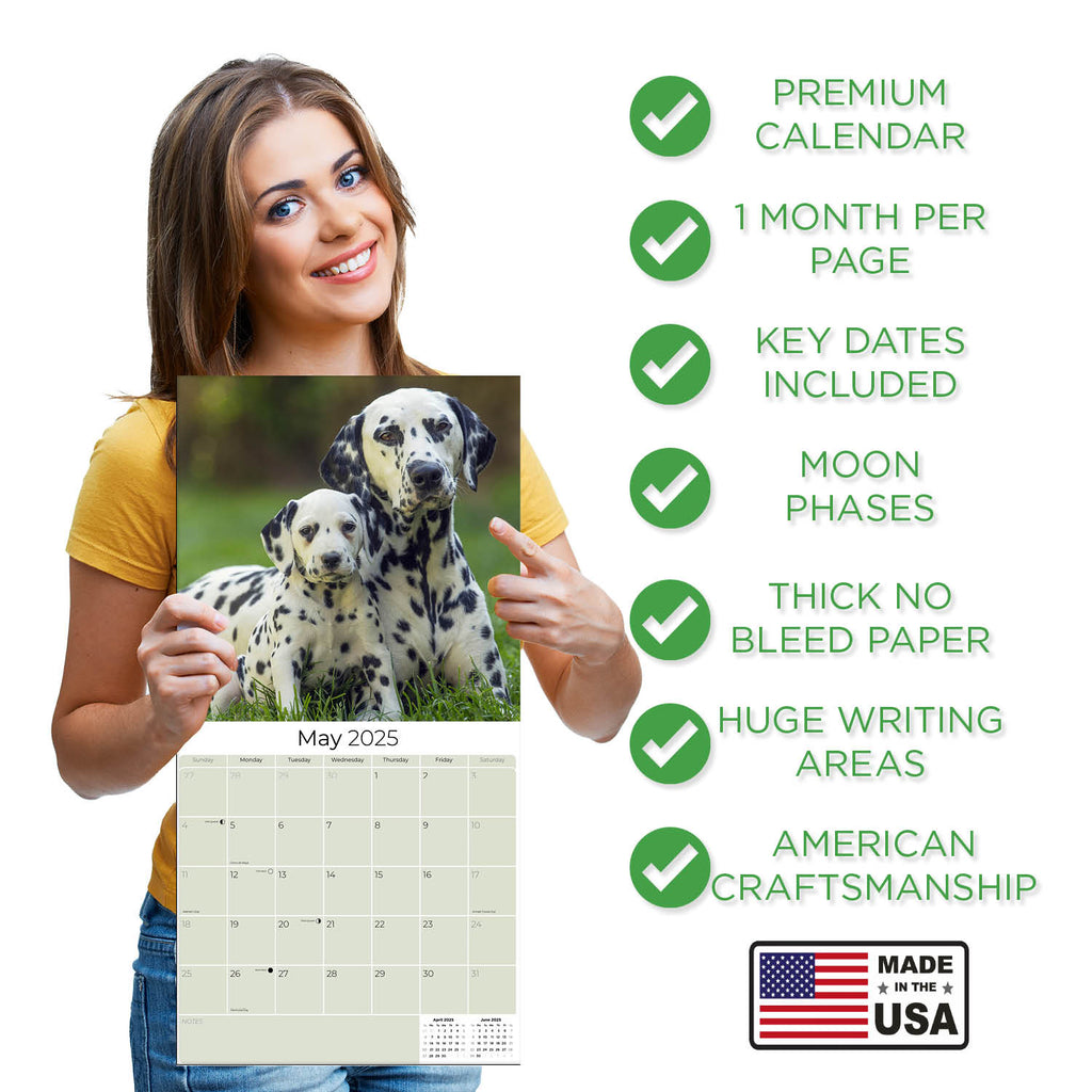 Dalmatian Puppies Wall Calendar 2025