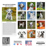 Dalmatian Puppies Wall Calendar 2025