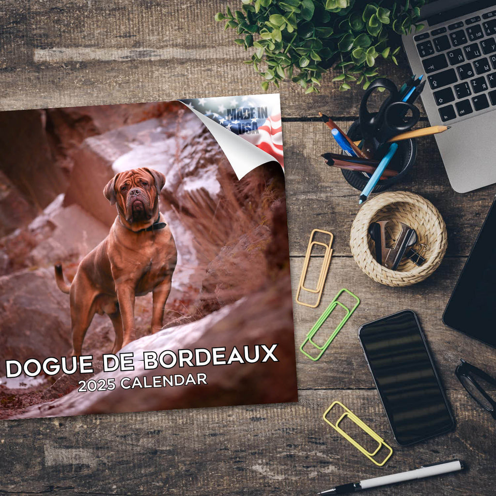 Dogue de Bordeaux Wall Calendar 2025