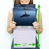 Dolphins Wall Calendar 2025