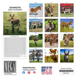 Donkeys Wall Calendar 2025
