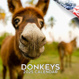 Donkeys Wall Calendar 2025