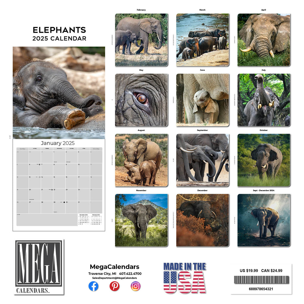 Elephants Wall Calendar 2025