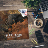 Elephants Wall Calendar 2025