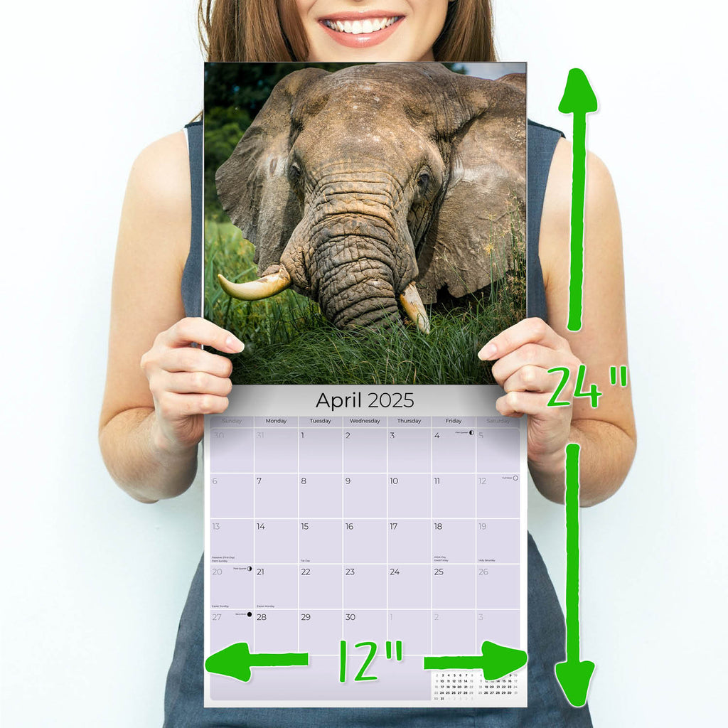 Elephants Wall Calendar 2025