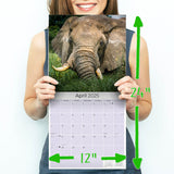 Elephants Wall Calendar 2025