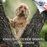 English Cocker Spaniel Wall Calendar 2025