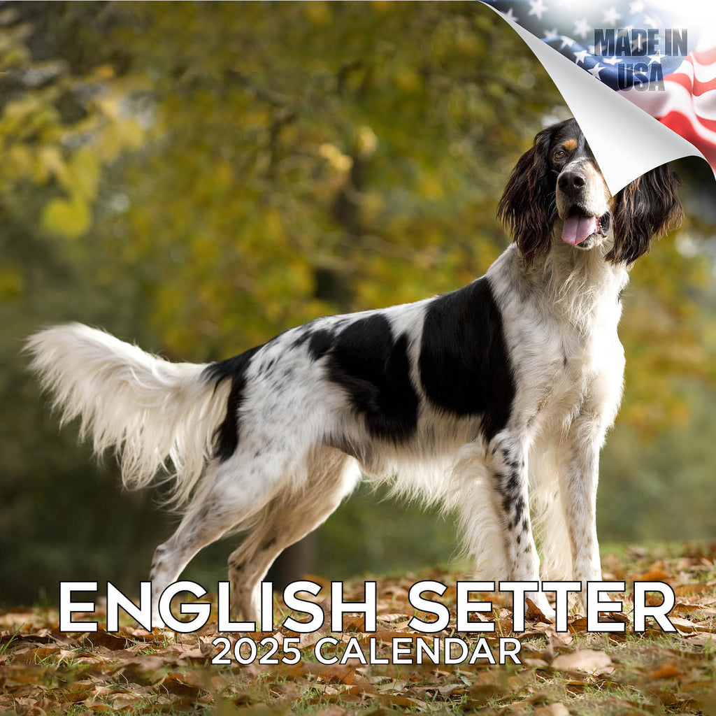 English Setter Wall Calendar 2025