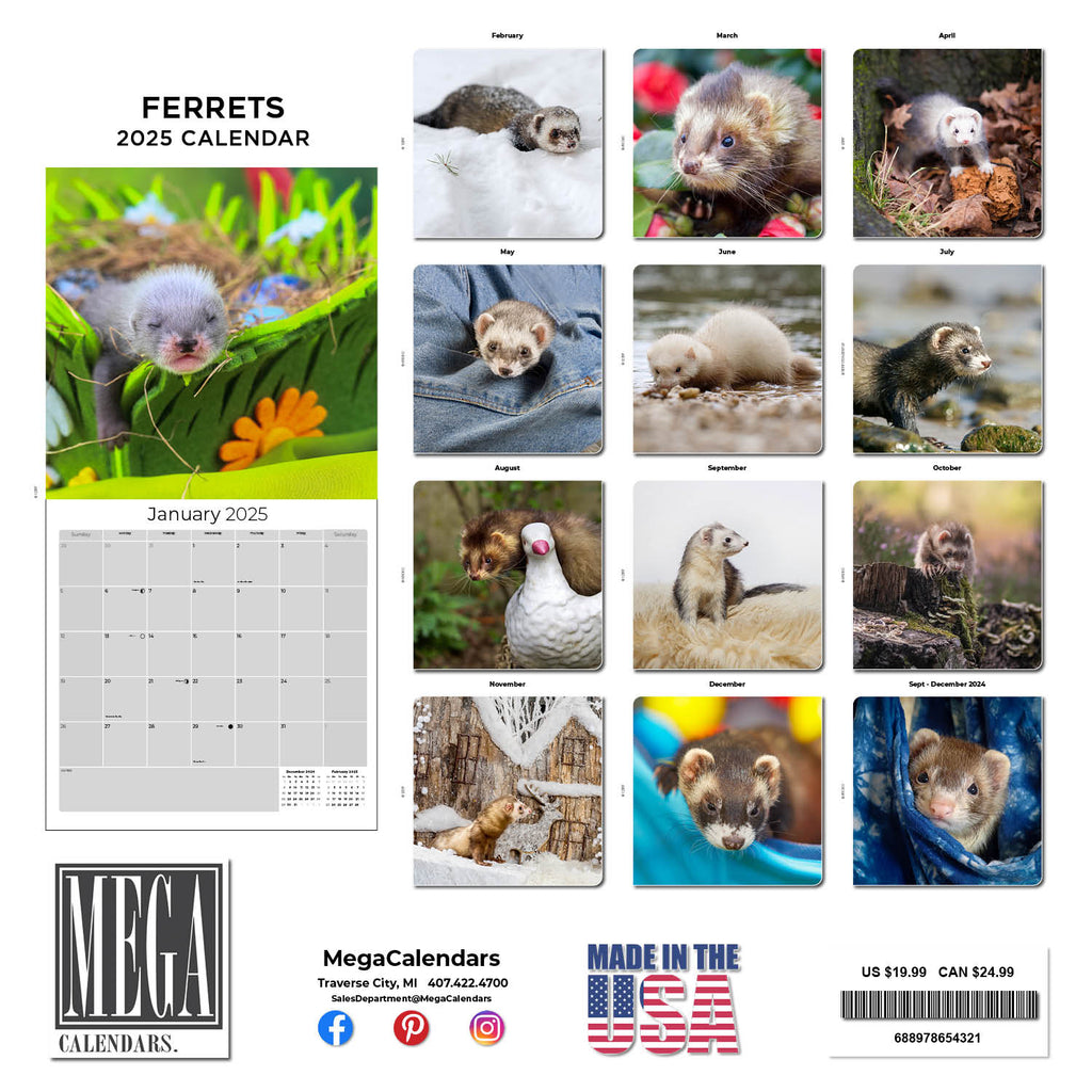 Ferrets Wall Calendar 2025