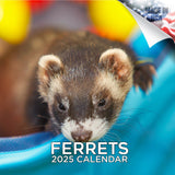 Ferrets Wall Calendar 2025