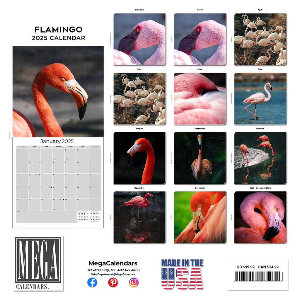 Flamingo Wall Calendar 2025