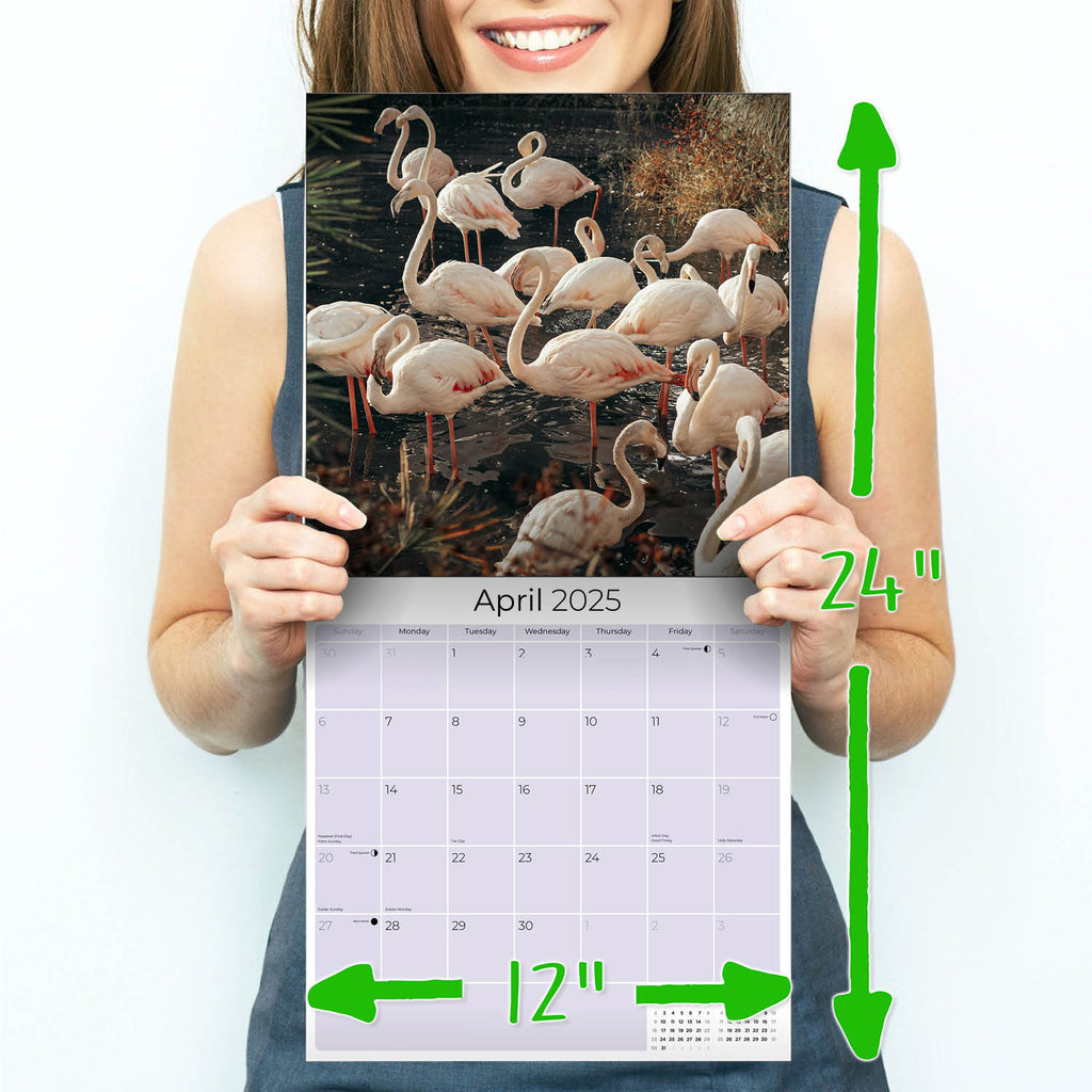 Flamingo Wall Calendar 2025