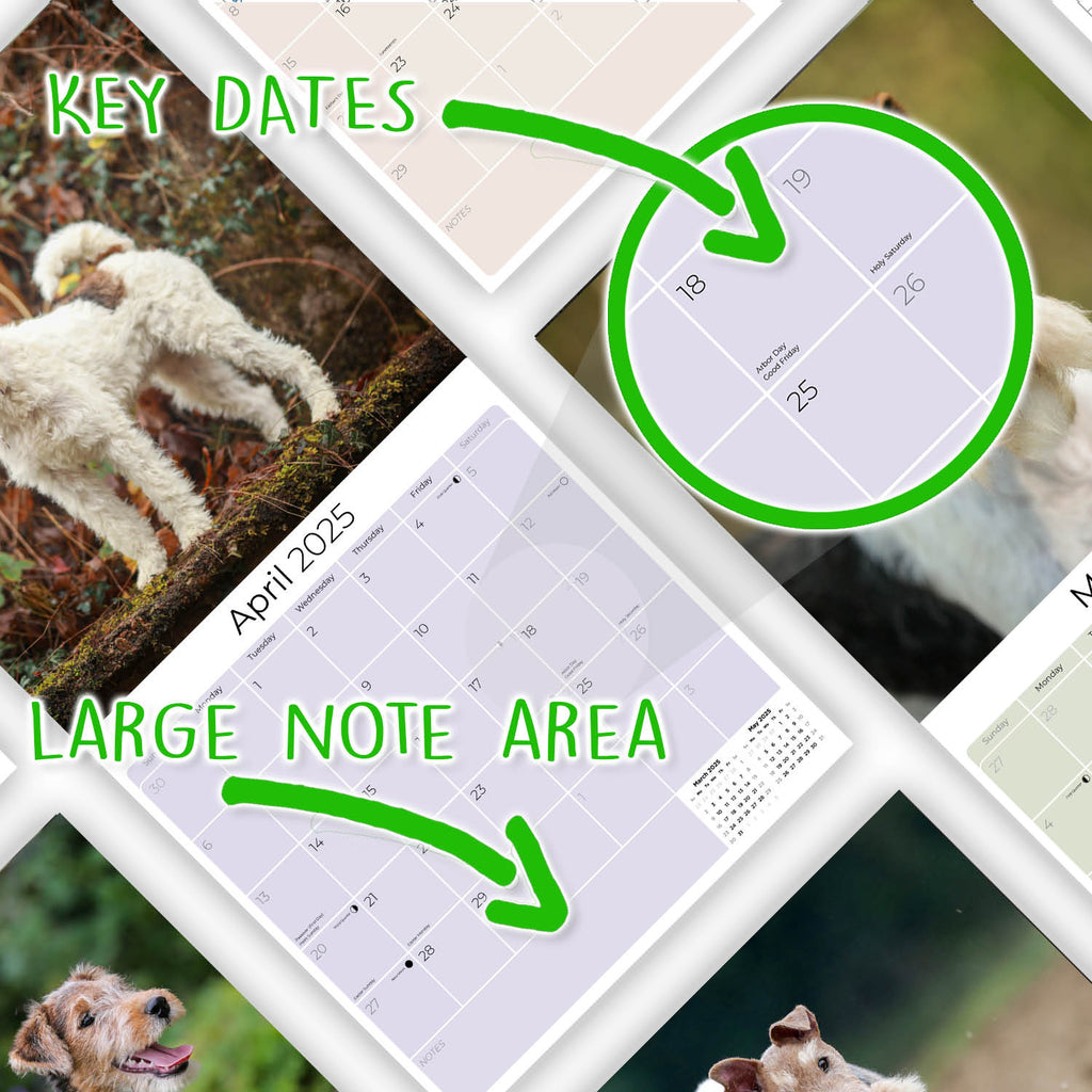 Fox Terrier (Wirehaired) Wall Calendar 2025