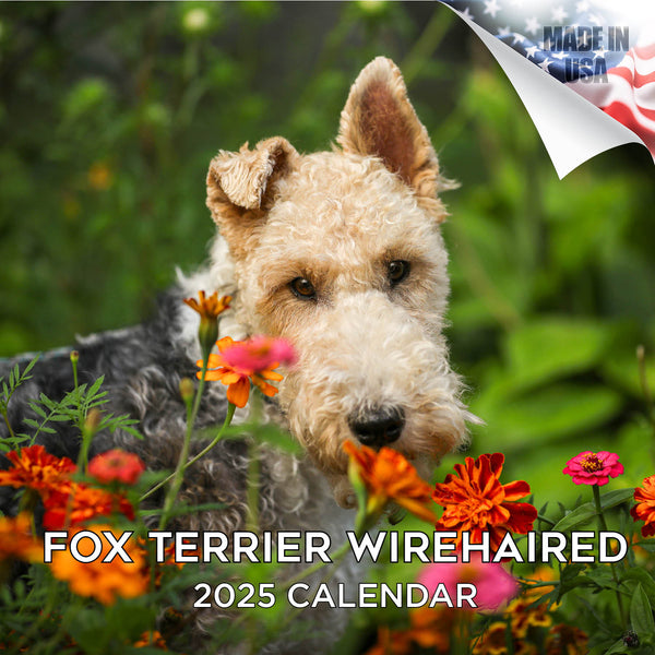 Fox Terrier (Wirehaired) Wall Calendar 2025