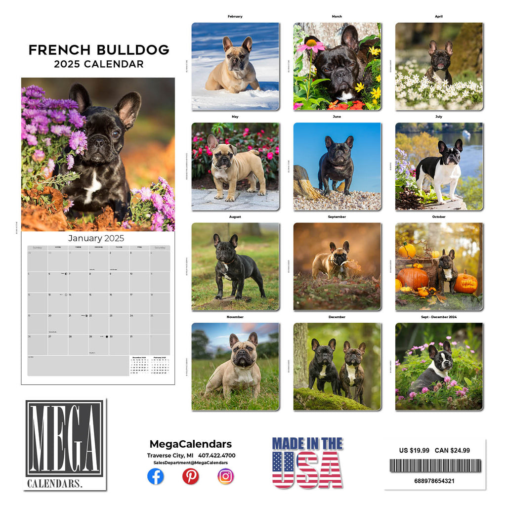 French Bulldog Wall Calendar 2025