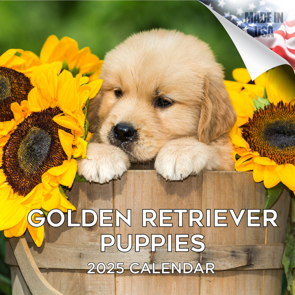 Golden Retriever Puppies Wall Calendar 2025