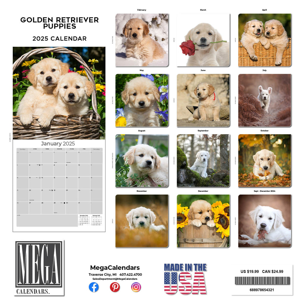 Golden Retriever Puppies Wall Calendar 2025