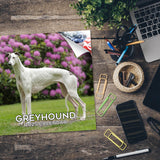 Greyhound Wall Calendar 2025