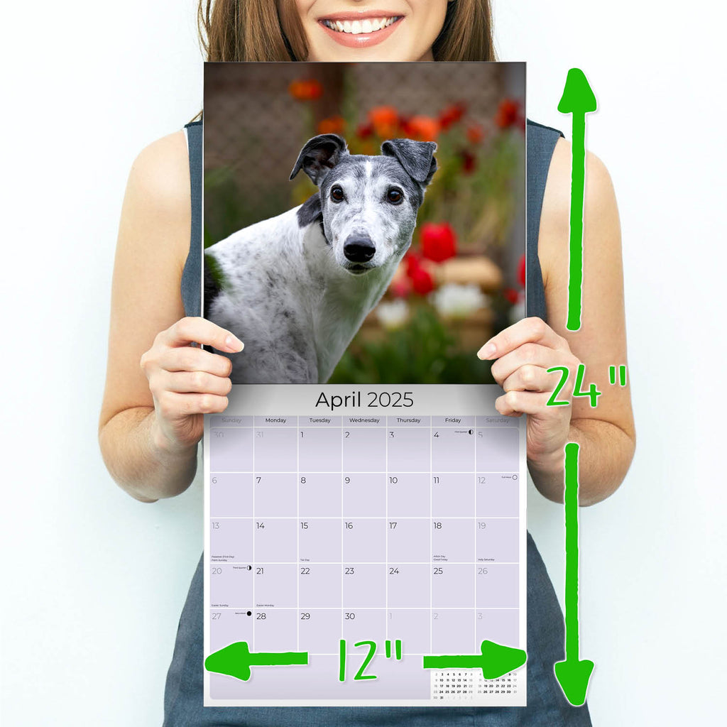 Greyhound Wall Calendar 2025