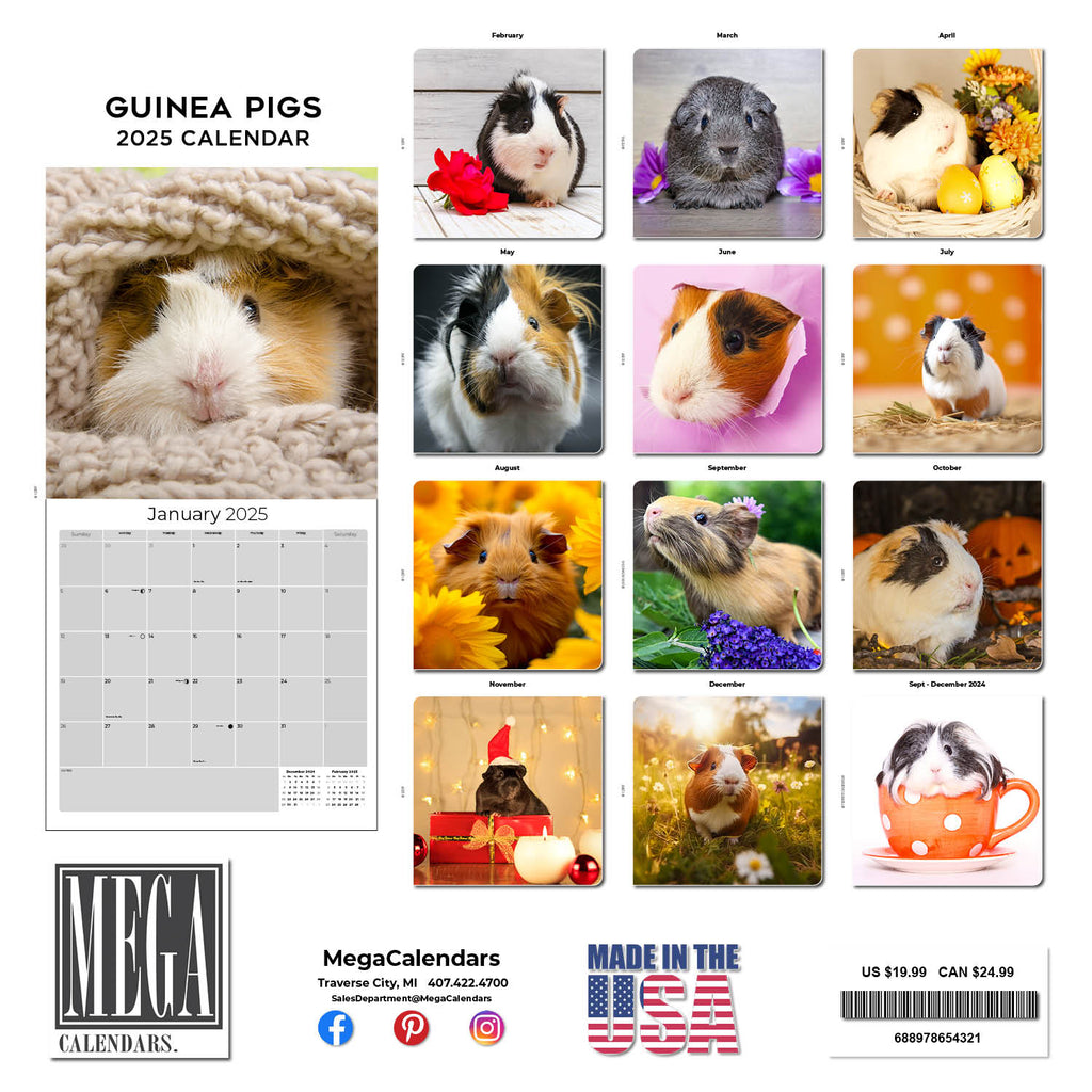 Guinea Pigs Wall Calendar 2025