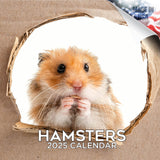 Hamsters Calendar 2025