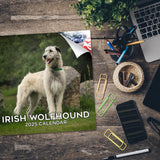 Irish Wolfhound Wall Calendar 2025