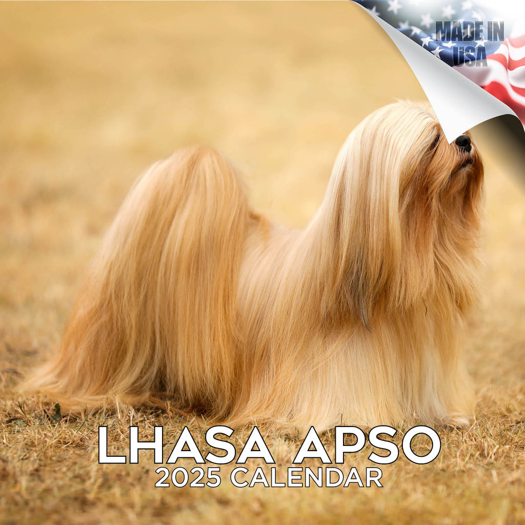 Lhasa Apso Wall Calendar 2025
