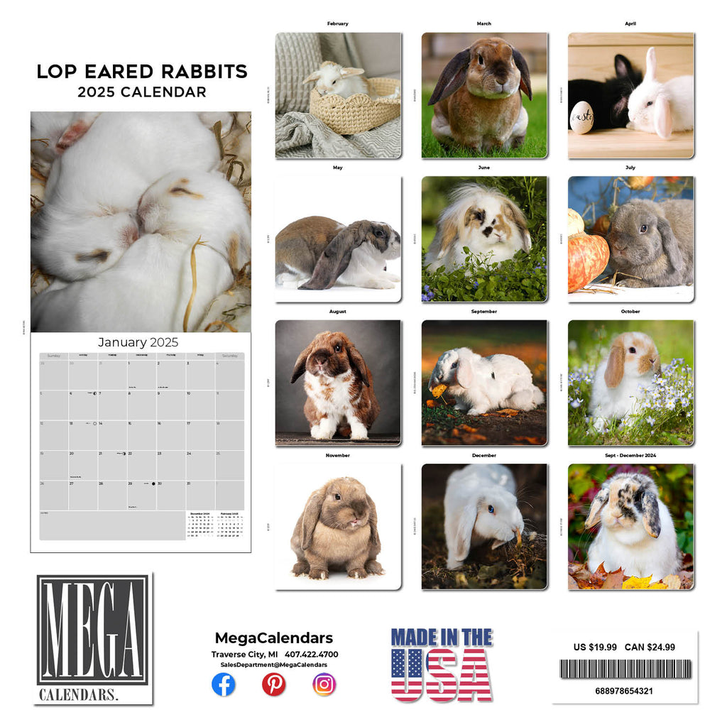 Lop Eared Rabbit Wall Calendar 2025