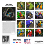 Macaws Wall Calendar 2025