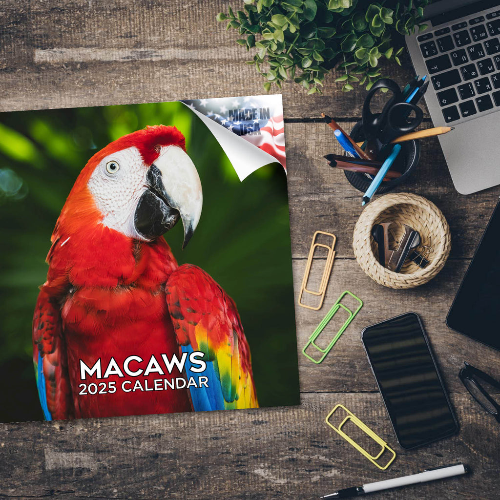 Macaws Wall Calendar 2025