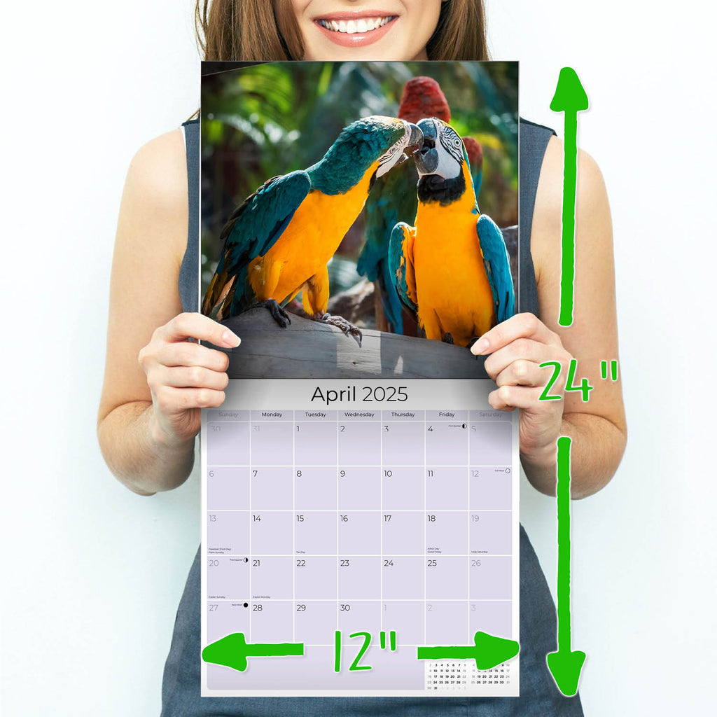 Macaws Wall Calendar 2025