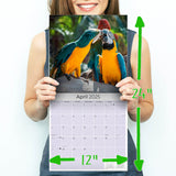 Macaws Wall Calendar 2025