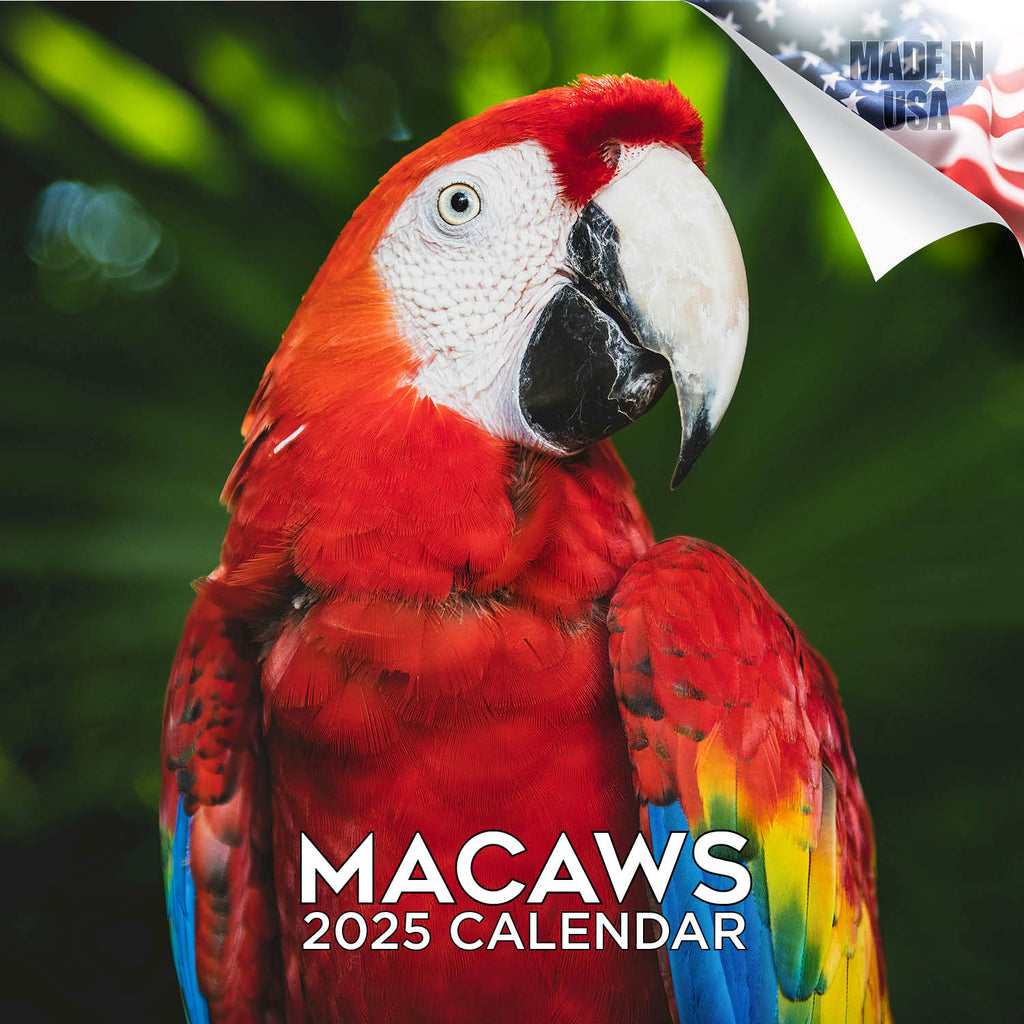 Macaws Wall Calendar 2025