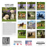 Labrador Ret (Mixed) Wall Calendar 2025